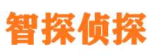 沽源市私家侦探